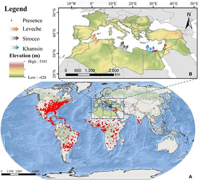 Migration risk of fall armyworm (Spodoptera frugiperda) from North Africa to Southern Europe